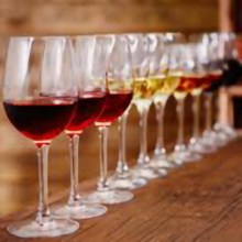 cata de vinos8